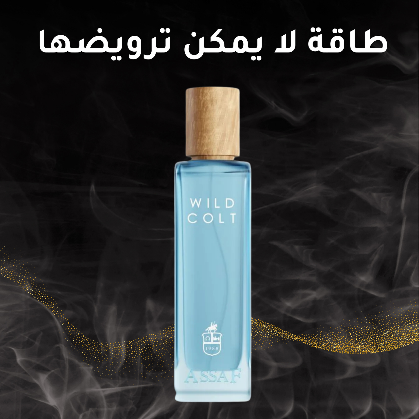 ASSAF من WILD COLT عطر