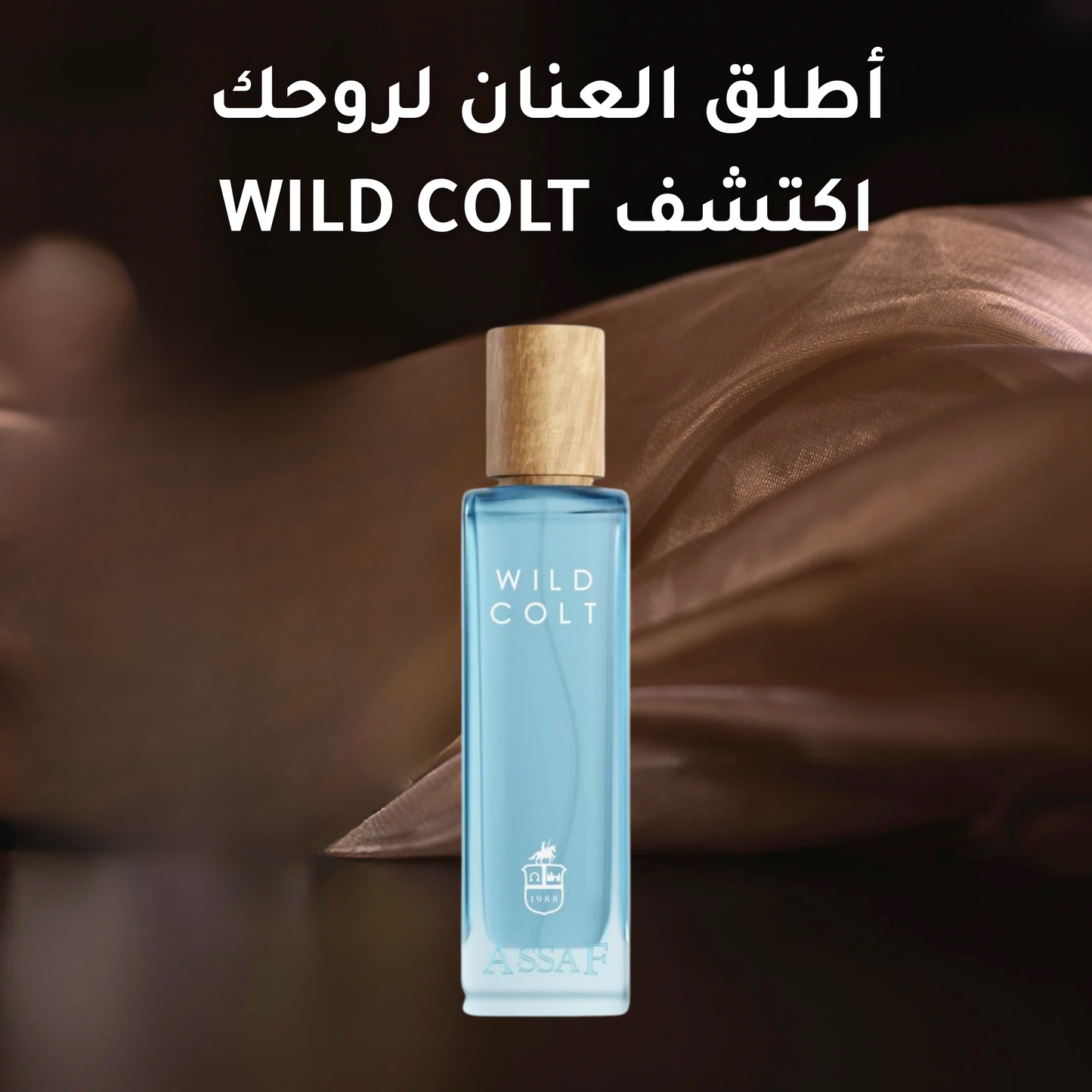 ASSAF من WILD COLT عطر