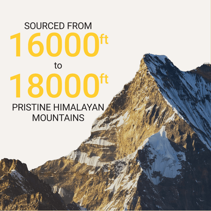 "Organic Shilajit Resin - Boost Stamina