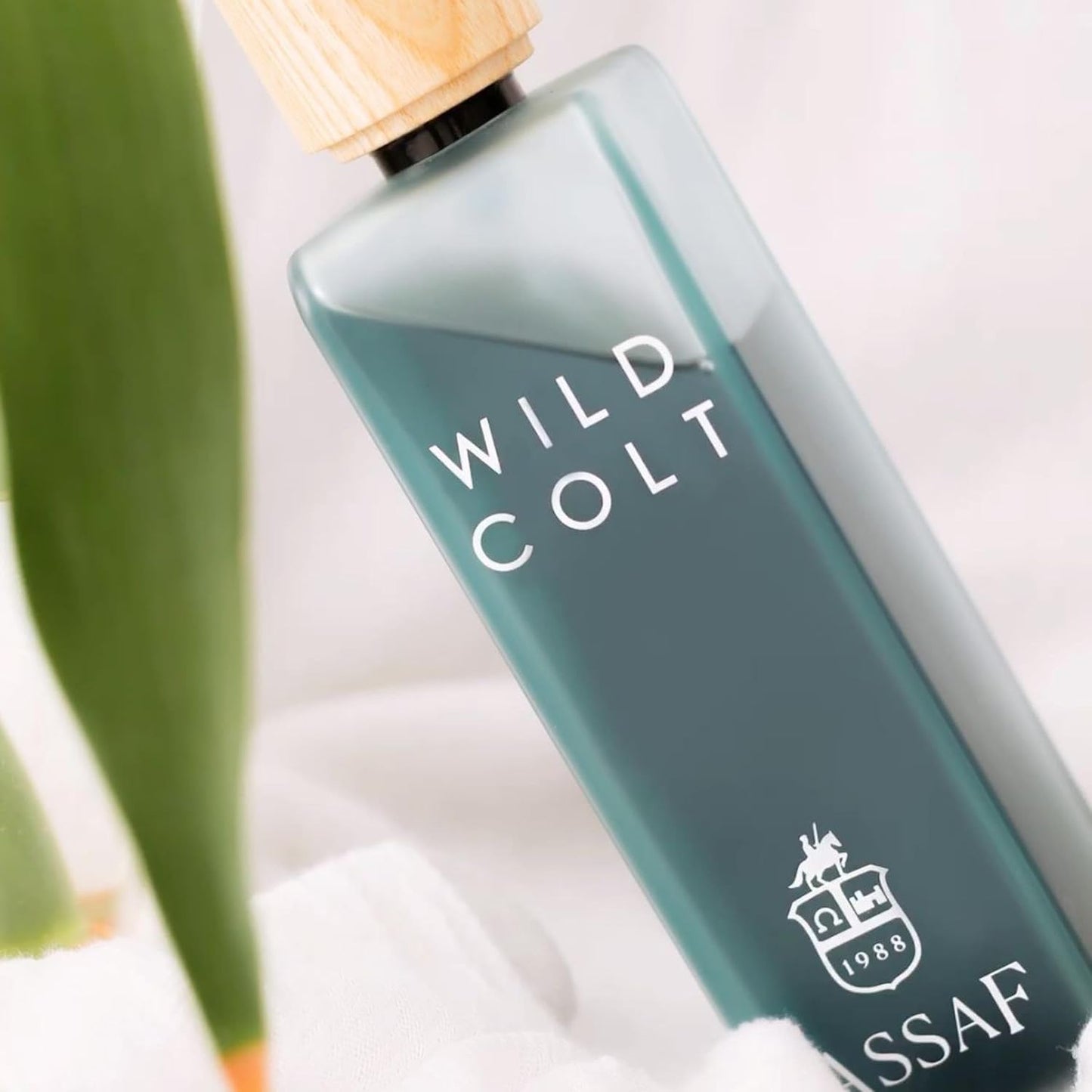 Assaf Wild Colt Unisex Perfume, Premium Quality, 200 ml